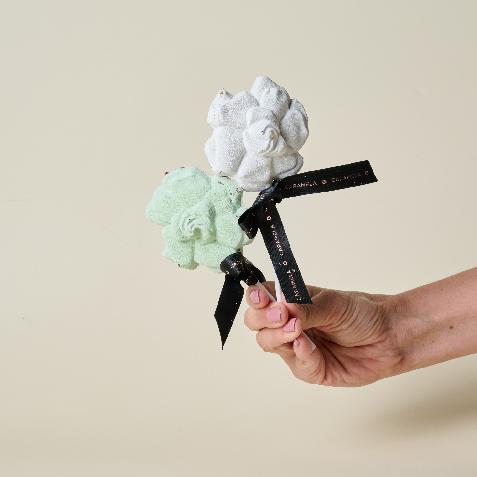 Paleta Flor - Día de las Madres